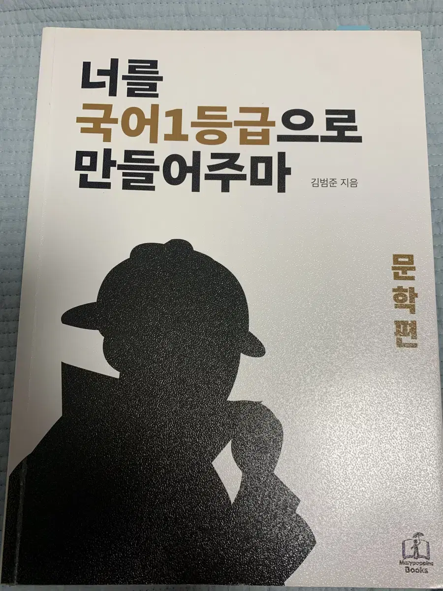 너를 국어 1 등급으로 만들어주마 문학